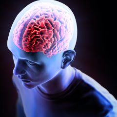Menschliches Gehirn Computer-Illustration