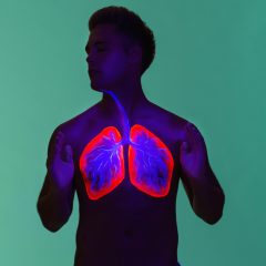 Die Lunge ist ein sehr verwundbares Organ