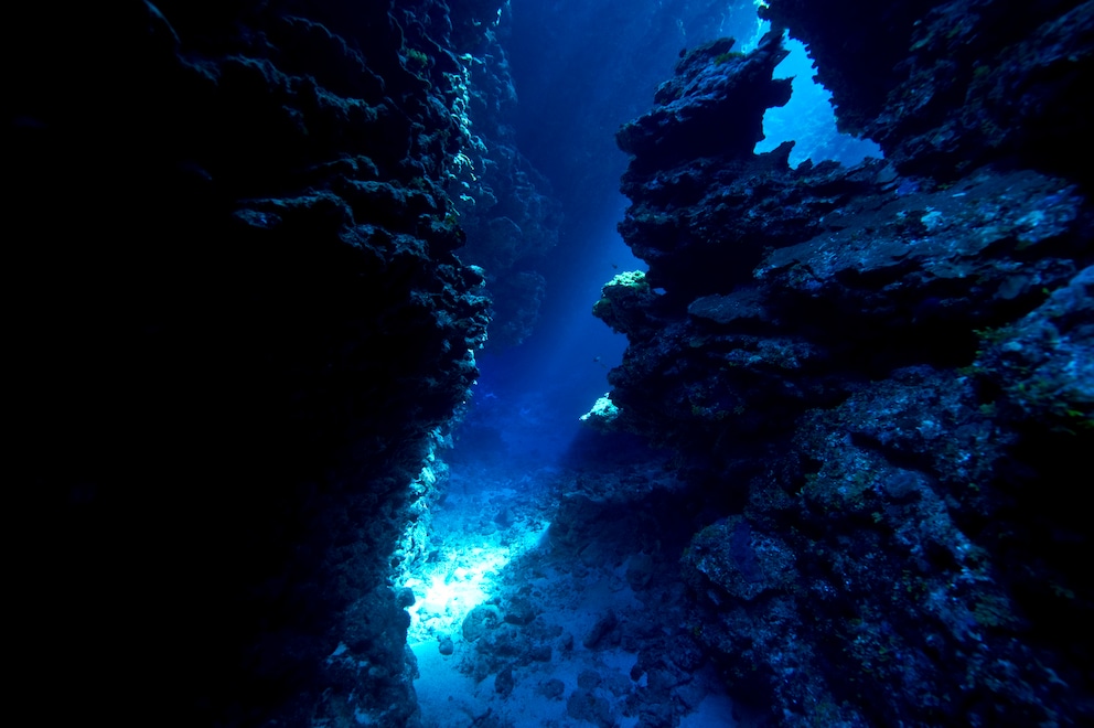 深海の健康への驚くべき影響